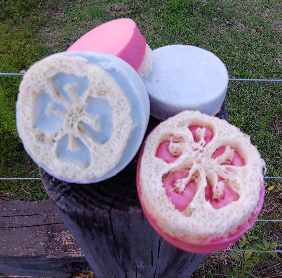 Aloe Vera Loofah Soap